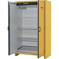 30-Minute EN Safety Storage Cabinet, 45 gal., 2 Door, 45.83" W x 76.65" H x 24.21" D SDS991 | Ottawa Fastener Supply