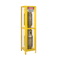 Gas Cylinder Cabinets, 2 Cylinder Capacity, 17" W x 17" D x 69" H, Yellow Ottawa Fastener Supply