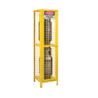 Gas Cylinder Cabinets, 2 Cylinder Capacity, 17" W x 17" D x 69" H, Yellow Ottawa Fastener Supply