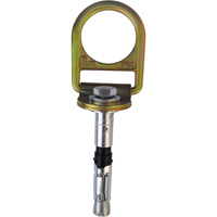 PRO™ Concrete D-ring Anchor with Bolt, Concrete/D-Ring, Permanent Use SEB928 | Ottawa Fastener Supply