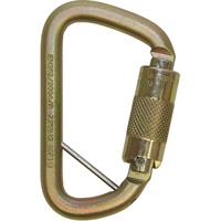 Rollgliss™ Technical Rescue Offset D Fall Arrest Carabiner, Steel, 3600 lbs Capacity SEH168 | Ottawa Fastener Supply