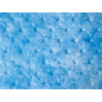 Balayage absorbant pour huile seulement Ottawa Fastener Supply