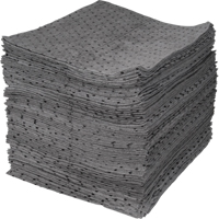 Sorbent Pads
