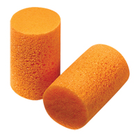 Howard Leight FirmFit Disposable Earplugs, Bulk - B Ottawa Fastener Supply
