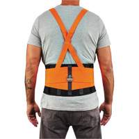 ProFlex 100HV Economy Spandex Hi-Vis Back Support Brace, Elastic, X-Small Ottawa Fastener Supply