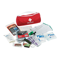 Trousse de premiers soins pour auto Dynamic, Dispositif m&eacute;dical Classe 1, Sac en nylon Ottawa Fastener Supply
