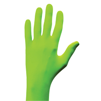 N-Dex&reg; Gloves, Small, Nitrile, 5-mil, Powder-Free, Green Ottawa Fastener Supply