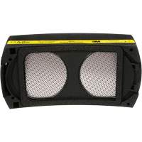 Speedglas Cartridge, P100 Filter, Pack of 1 Ottawa Fastener Supply