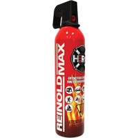 Fire Extinguisher, ABC/K, 2 lbs. Capacity SGC461 | Ottawa Fastener Supply