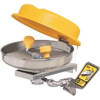 Poste de douche oculaire, Installation Montage mural, Bol Acier inoxydable Ottawa Fastener Supply