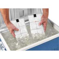 Chill-Its&reg; 6250 Phase Change Cooling Vest Packs Ottawa Fastener Supply