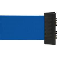 Wall Mount Barrier with Magnetic Tape, Steel, Screw Mount, 7', Blue Tape SGR025 | Ottawa Fastener Supply