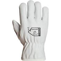 Endura&reg; Winter-Lined Driver Gloves, X-Large, Grain Goatskin Palm, Thinsulate Inner Lining Ottawa Fastener Supply