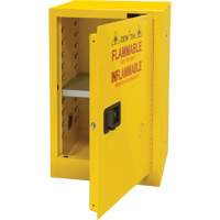 Flammable Storage Cabinet, 12 gal., 1 Door, 23" W x 35" H x 18" D SGU463 | Ottawa Fastener Supply