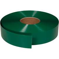 Ruban de marquage tr&egrave;s r&eacute;sistant pour plancher ArmorStripe, 2" x 100', PVC, Vert Ottawa Fastener Supply