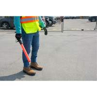 Safety Baton Light Ottawa Fastener Supply