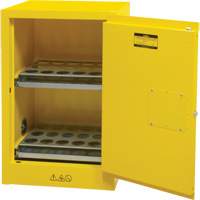 Armoire de rangement pour a&eacute;rosols inflammables, 12 gal., 1 Porte(s), 23" La x 35" h x 18" p Ottawa Fastener Supply