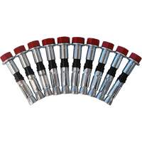 Replacement Bolt Kit for Concrete D-Ring Anchors, Bolt-On, Permanent/Temporary Use Ottawa Fastener Supply