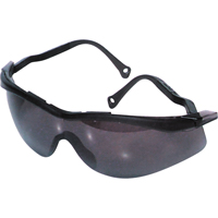 North<sup>®</sup> The Edge™ Safety Glasses, Smoke Lens, Anti-Fog/Anti-Scratch Coating, CSA Z94.3 SH061 | Ottawa Fastener Supply