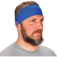 Chill-Its 6634 Cooling Headband, Blue SHB409 | Ottawa Fastener Supply
