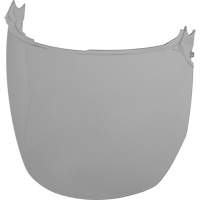 Face Shield Replacement Lenses, Polycarbonate, Grey/Smoke Tint Ottawa Fastener Supply