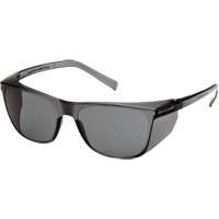 Lunettes de s&eacute;curit&eacute; Legacy, Lentille Gris, ANSI Z87+/R&eacute;pond ou surpasse la norme CSA Z94.3 Ottawa Fastener Supply