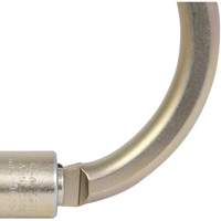 CP-04011-1 Zinc Plated Carabiner with 2" Gate Opening, Steel Ottawa Fastener Supply