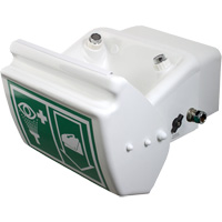 Eye/Face Wash, Wall-Mount Installation, Plastic Bowl Ottawa Fastener Supply