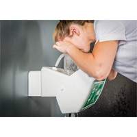 Eye/Face Wash, Wall-Mount Installation, Plastic Bowl Ottawa Fastener Supply
