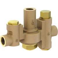 Mid-Capacity Thermostatic Mixing Valve for Individual Eye/Face Wash Stations, 2 - 35.1 GPM Ottawa Fastener Supply