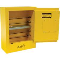 Armoire de s&eacute;curit&eacute; miniature pour produits inflammables, 2 gal., 1 Porte(s), 17" La x 22" h x 8" p Ottawa Fastener Supply