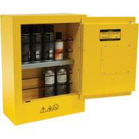 Armoire de s&eacute;curit&eacute; miniature pour produits inflammables, 2 gal., 1 Porte(s), 17" La x 22" h x 8" p Ottawa Fastener Supply