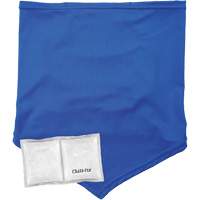 Chill-Its 6482 Cooling Neck Gaiter Bandana with Rechargeable Phase Change Packs, Small/Medium, Blue Ottawa Fastener Supply