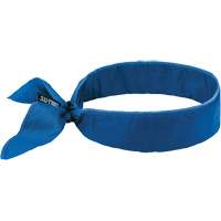 Chill-Its 6702 Cooling Headband with Embedded Polymers & Tie Closure, Blue Ottawa Fastener Supply