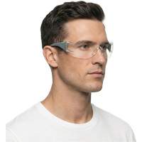 Lunettes de s&eacute;curit&eacute; gris/vert Adapt Lite, Lentille Transparent, Antibu&eacute;e/Anti-&eacute;gratignures, ANSI Z87+/R&eacute;pond ou surpasse la norme CSA Z94.3 Ottawa Fastener Supply