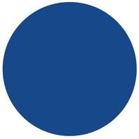 Round Write-On Labels, Circle, 1.5" L x 1.5" W, Blue SY630 | Ottawa Fastener Supply