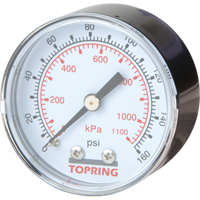 Mini Regulators - Replacement Gauge, 2" , 0 - 160 psi, Back Mount, Analogue TA796 | Ottawa Fastener Supply