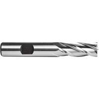 C615 End Mill, 1/4" Dia., 4 Flutes, High Speed Steel Ottawa Fastener Supply