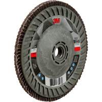 769F Quick Change Flap Disc, 5" x 5/8"-11, Type 29, 120+ Grit, Ceramic Ottawa Fastener Supply
