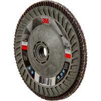 769F Quick Change Flap Disc, 5" x 5/8"-11, Type 29, 120+ Grit, Ceramic Ottawa Fastener Supply
