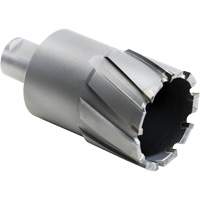 Outil de coupe annulaire, Diam&egrave;tre de 27,5 mm, Carbure, Profondeur de la coupe de 4" Ottawa Fastener Supply