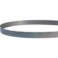 Welded Bandsaw Blade, Bi-Metal, 14' L x 1" W x 4 - 6 TPI Ottawa Fastener Supply