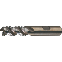 PM Plus Single End Roughers, Powder Metal, 3-Flute, Centre Cutting, Square End, 3/4" Dia. Ottawa Fastener Supply