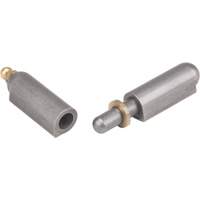 Weld-On Hinge, 0.512" Dia. x 3.15" L, Mild Steel w/Fixed Steel Pin TTV437 | Ottawa Fastener Supply