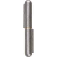 Weld-On Hinge, 0.787" Dia. x 5.906" L, Mild Steel w/Fixed Steel Pin TTV442 | Ottawa Fastener Supply