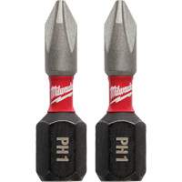 Screwdriver Insert Bit