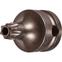 Socket Bit, Torx&reg; Tamper, 25 x 1" L, 3/8" Drive Ottawa Fastener Supply