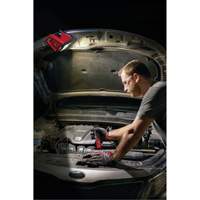 M12 Rover Mounting Flood Light, LED, 250 W, 1000 Lumens Ottawa Fastener Supply