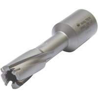 Core Cut Annular Cutter with Weldon Shank, 12 mm Diameter, Carbide, 30 mm Depth of Cut, 3/4" Shank Ottawa Fastener Supply