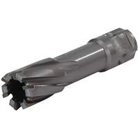 Universal Shank Annular Cutter, 1/2" Diameter, Carbide, 1" Depth of Cut, 3/4" Shank Ottawa Fastener Supply